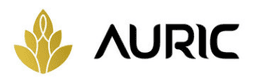 Auric uses super bots to increase leads and sales.